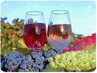 Фестиваль вин в Берегові